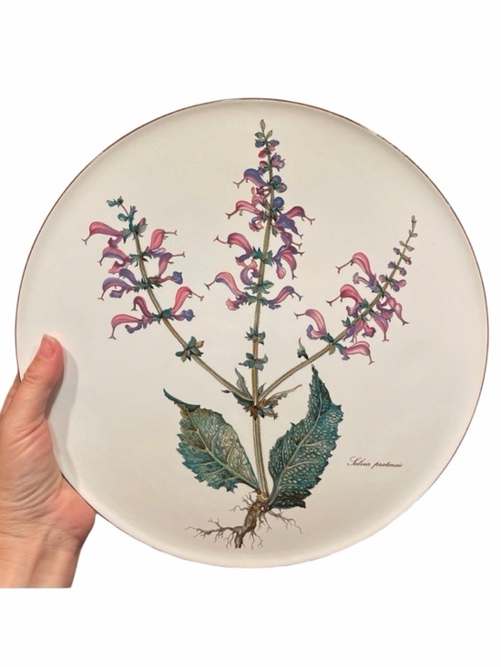 Villeroy & Boch Other - VILLEROY & BOCH Botanica 12" Cake Plate / Tray -Salvia Pratensis Meadow Sage